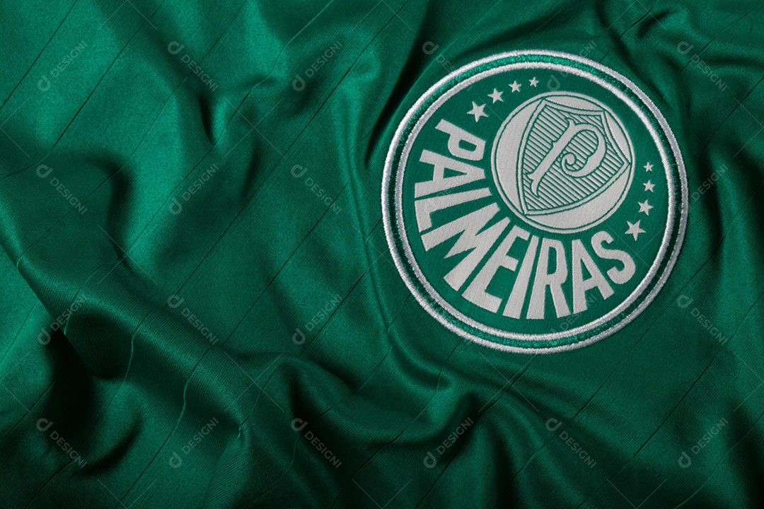 Palmeiras: Previsões para Temporada 2024