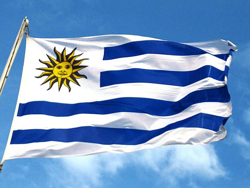 Mejores Casas de Apuestas en Uruguay
