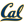 California Golden Bears