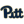 Pittsburgh Panthers (W)