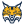 Quinnipiac Bobcats