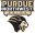 Purdue Northwest Pride