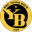 BSC Young Boys Srl