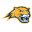 Averett Cougars