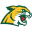 Northern Michigan Wildcats