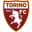 Torino SRL