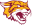 Bethune Cookman Wildcats (W)