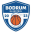 Bodrum Basketbol