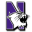 Northwestern Wildcats