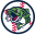 Gwinnett Stripers