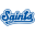 St. Paul Saints