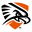 Texas Permian Basin Falcons