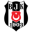 Besiktas Srl