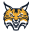 Quinnipiac Bobcats