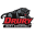 Drury Panthers