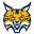 Quinnipiac Bobcats (W)