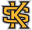 Kennesaw State Owls