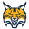 Quinnipiac Bobcats