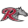 Rider Broncs (W)