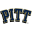 Pittsburgh Panthers