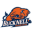 Bucknell Bison