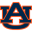 Auburn Tigers (W)