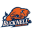 Bucknell Bison